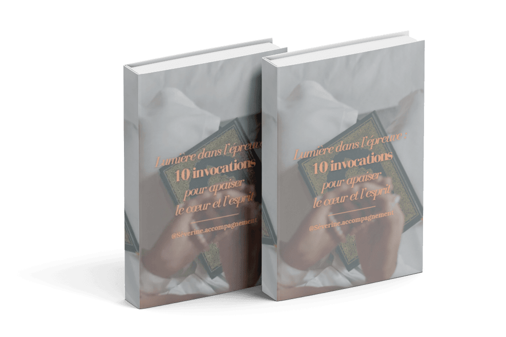 Image du Ebook envoyer par email